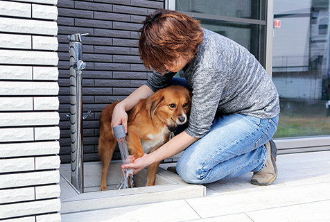 犬や猫 ペットと暮らす家特集 性能を追求する住宅メーカー 一条工務店 犬や猫 ペットと暮らす家特集 性能を追求する住宅メーカー 一条工務店